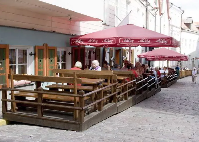 St. Petersbourg - Small Luxury Of The World 호텔 탈린